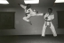 Master Pepin's Jump Side Kick